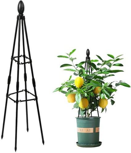 Enrejado de jardín, enrejado de obelisco, soporte para plantas de 31, 5 pulgadas con refuerzo de anillo, obelisco de metal resistente al óxido y fácil de instalar para flores, verduras, frutas, jardín