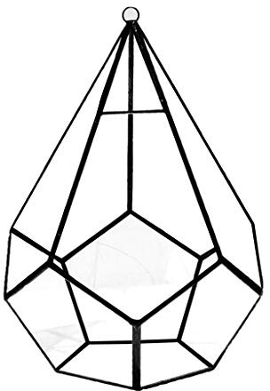 Estante de cristal de rombos de cinco lados, terrario geométrico para suculentas, adecuado para decoración de escritorio, maceta grande de musgo transparente