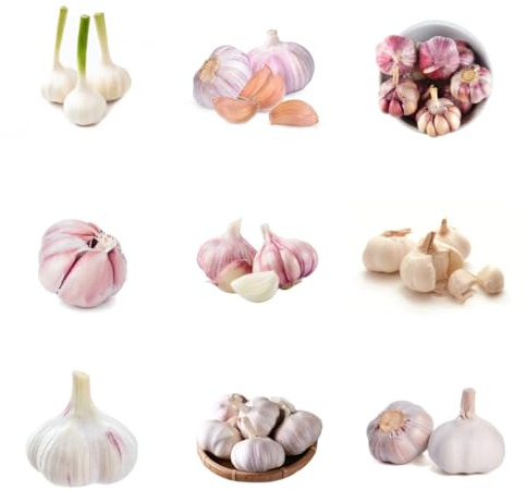 KnoblauchSamen-Pflanzknoblauch,gartendeko für draußen bio saatgut,einfach zuPflanzendeko garten,schnell wachsenderSamenanzucht 200pcs