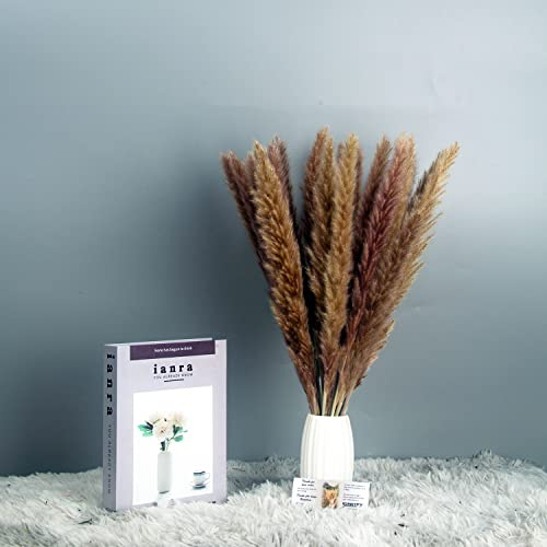 KUNSTIFY Pampasgras, Natürliches Trockenblumen Deko Set (30x Natur Pampas)