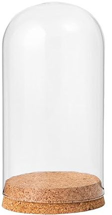 Wswqop Campana Decorativa in Vetro Trasparente, Campana in Vetro, Campana con Base in Legno, Coperchio per Campana, per Decorazioni per Feste E Uffici, 9 cm x 12 cm