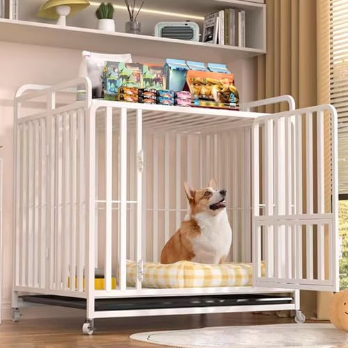 Hundebox, Hundezwinger für den Innenbereich, mittelgroßer Hundekäfig, faltbar, aus Metall, mit Stauraum Oben, interaktivem Panorama-Dachfenster, Universalrollen und Wanne (Weiß, 110 x 72 x 9