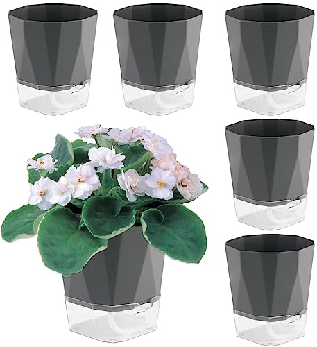 Paquete de 6 macetas de riego automático de 5 pulgadas para plantas de interior y exterior, violeta africana, hierbas, orquídeas, macetas de interior, macetas transparentes, gris oscuro