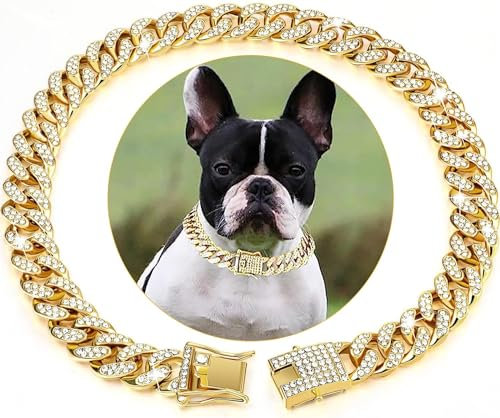 YTLT Roségold/Gold-Hundehalsband,Katzenhalsband, Haustier Halsbänder, Silberne Hundekette, kubanische Gliederkette, Halsband mit Metallschnalle für Kleine Mittelgroße Hunde, Kat,L,Gold