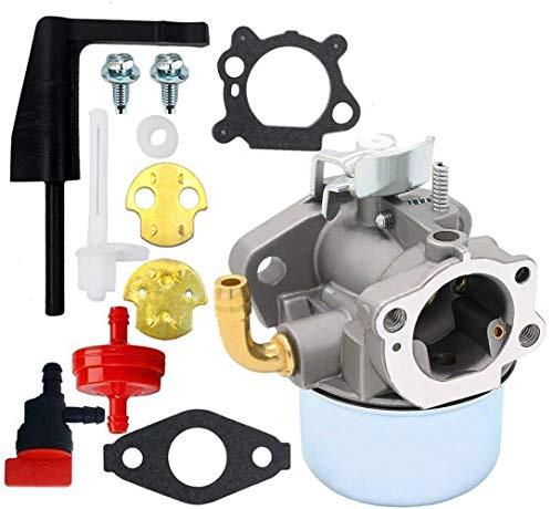 Ewillownm Compatible avec le carburateur 798653 pour Briggs & Stratton 696981 698860 694508 795069 698859 790180 790290