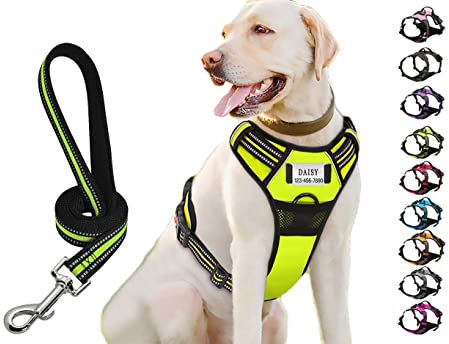 Moonpet Personalisiertes Anti Zug Hundegeschirr mit Leine Hunde Name und Telefonnummer für kleine mittel große X-große Hunde Spaziergang Laufen Zug