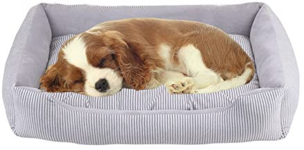 PETCUTE Flauschig Haustierbett für Kleine/mittelgroße Hunde,Waschbar Orthopädisches Hundebett Kleine Hunde,rutschfest,Super Weiches Hundebetten Hundekissen Katzenbett mit Abnehmbarem Kissen