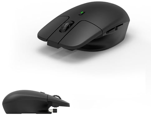 Plyisty Kabellose Maus, 2,4 G Kabellose Mäuse mit USB-Empfänger, 800 1200 1600 DPI Einstellbar, 4 Tasten, Ergonomische Optische Maus für Notebook, Laptop, Computer, OS X, Linux