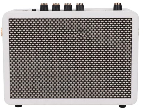 LiebeWH Amplificatore per Chitarra da 10 W Amplificatore per Basso Elettrico Mini Chitarre Spark Kit con Batteria Ricaricabile, Durata della Batteria 8 Ore per Piccolo per Chitarra