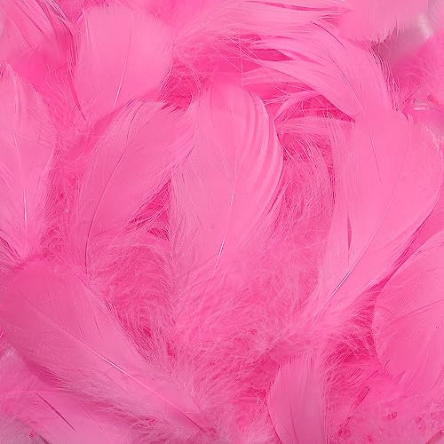 360 rosa Federn, 7,6–12,7 cm, Bastelfedern, verschiedene Regenbogenfarben, Federn für Kinder, für selbstgemachte Hochzeiten, Zuhause, Partys, Dekorationen, natürliche Federn