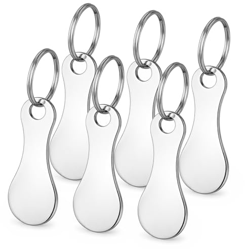 TIESOME 6 Pcs Quarter Keychain, Stainless Steel Quarter Holder Keychain with Alloy Key Ring, Portable Shopping Cart Trolley Tokens Coin Keychains for Grocery Shopping, Gift for Men Women, Silver