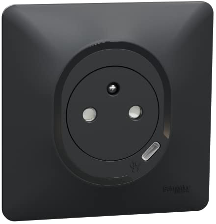 Schneider Electric - Ovalis - Combi 2P+T 16A affleurante + Prise chargeur USB-C 10,5W - connex. auto - Anth - S340089