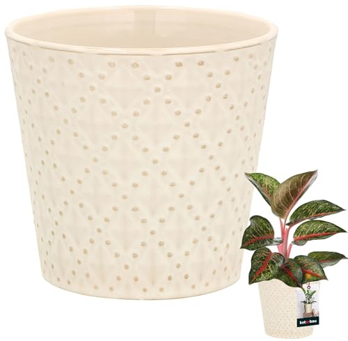 KOTARBAU® Maceta vintage de flores Maceta de cerámica color crema ⌀ 12 cm Altura 13 cm Esmaltada 1 unidad Maceta grande con forma de trapecio para plantas de interior