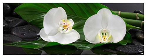 levandeo Glasbild 30x80cm Wandbild aus Glas weiße Orchideen Blume Steine Bambus Feng Shui