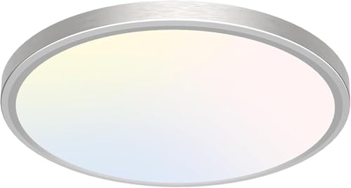 libtit 33cm Led Deckenleuchte, 24W Hell Deckenlampe, 2400LM Flache Deckenlampe Silber, 3000K/4000K/6500K Modern Dünn Küchenlampe Für Decke Schlafzimmer Bad