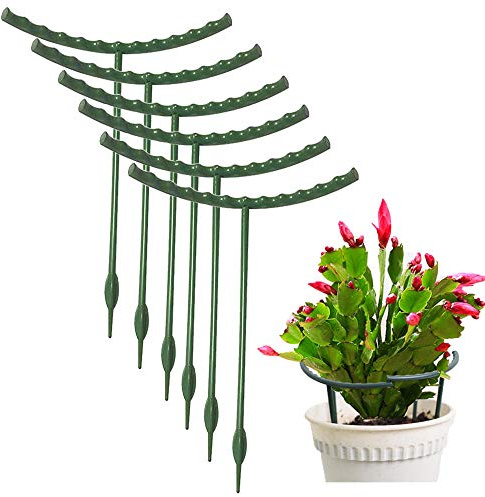 Mwellewm Plant Stakes Small Plant Supports for Indoor Plants Holder Sticks