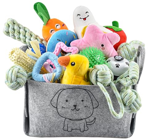 LECHONG 24 Pack Puppy Chew Toys, Dog Teething Toys with Storage Bin, Dog Rope Toys and Squeaky Toys for Boredom, Interactive Dog Toys for Small & Medium Breeds