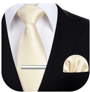 HISDERN Men's Cream Ties Set 3.4 Tie and Pocket Square with Clip Gents Solid Color Necktie Hankerchief Wedding Business Formal Classic Neckties Sets for Men