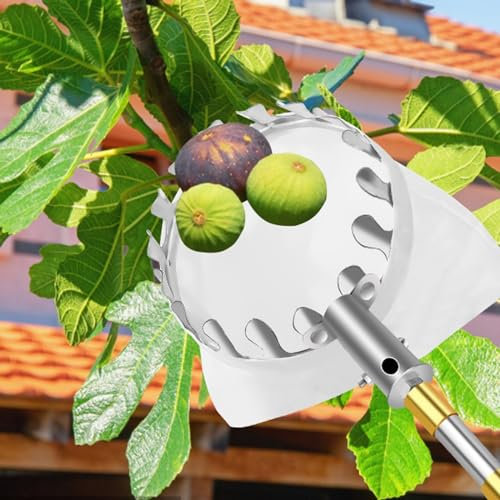 griffe de jardin pince telescopique Poteau De Cueillette De Fruits Avec Panier Télescopique De 2,5 À 10 M De Long, Verger Extensible, Mangue, Citron, Orange, Avocat, Cueilleur D'agrumes, Récolteuse Fr