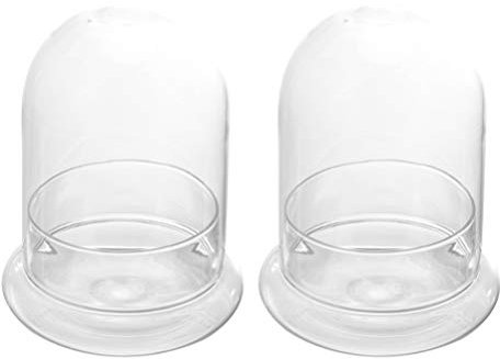 LODDEYEE 2pcs Glass Terrarium Cloche Glass Dome Glass Cloche Bell Jar with Round Base Glass Cloche Dome Jar Terrarium Glass Dome Bottle Miniature Floral Decoration