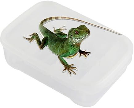 Reptilien-Inkubator – 14 Gitter Gecko Schlüpftank, transparente Zuchtbox, Reptilienlebensraum für Klettern, Transport, Zuhause, Innenbereich, Männer, Frauen, Züchter, Spinne, Skorpion