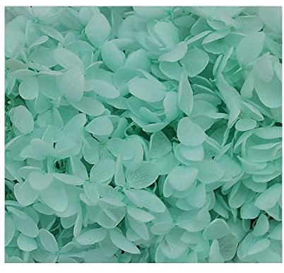 Hortensia, flor seca azul claro, hojas pequeñas, decoración preservada para manualidades, accesorios de material de flores, flores prensadas para velas, manualidades, boda, manualidades, tarjeta de