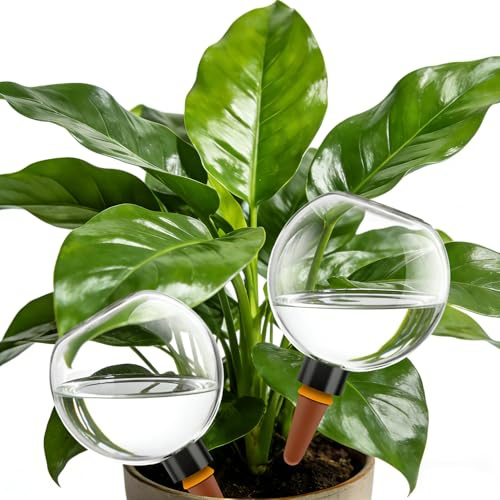 Luxoraiova 4er Set Bewässerungskugeln, 500ml Automatische Pflanzenbewässerung für Pflanzen, Wasserkugeln für Pflanzen, Blumen&Garten – Ideal im Urlaub | PP, Atmungsaktiver Tonkegel, Wiederverwendbar