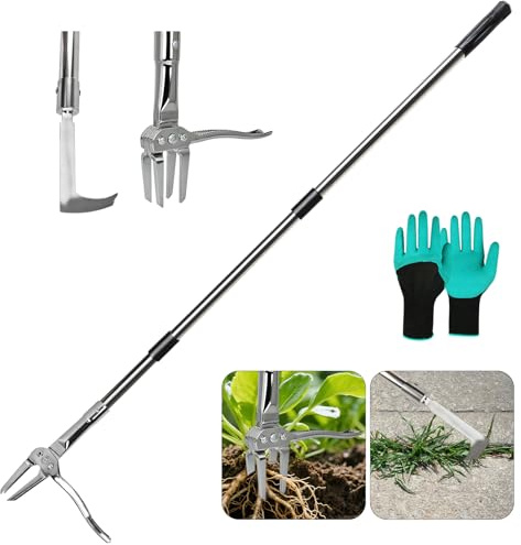 Ryaco Unkrautstecher 128cm aus Edelstahl mit 4 Metallkrallen, Aufrecht Stehender Unkrautentferner & Löwenzahnstecher, inkl. Ersatz Fugenkratzer Kopf und Gartenhandschuhe