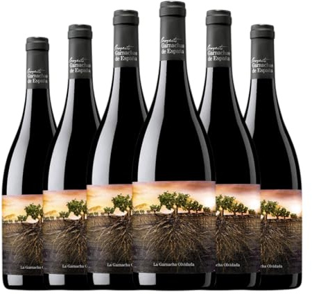 Proyecto Garnachas La Garnacha Olvidada de Aragón Garnacha Calatayud 75 cl Vino tinto (Caja de 6 Botellas de 75 cl)