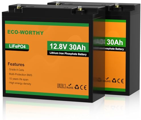 ECO-WORTHY 2-Pack 30AH LiFePO4 Leisure Battery with 4000-15000 Cycles & BMS Protection,Ideal for Trolling Motors, Wheelchairs, Scooters,RV