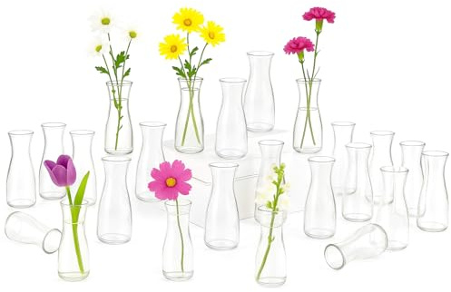 GREENSAPPIRE Clear Glass Bud Vase Set, Vases, Vase Flowers Glass Small Flower Vases 14x6cm, Modern Minimalist Glass Vases for Flowers, Pampas, Tulips, Home Table Wedding Decor (24-PCS)