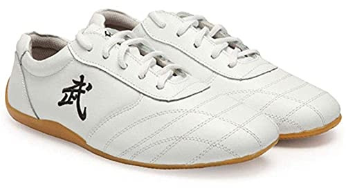DAFLIN Taekwondo Shoes, Martial Arts Boxing Shoes, Kung Fu Taichi Lightweight Rubber Sports Training Footwear for Men and Women (Color : White, Size : 6.5 UK)
