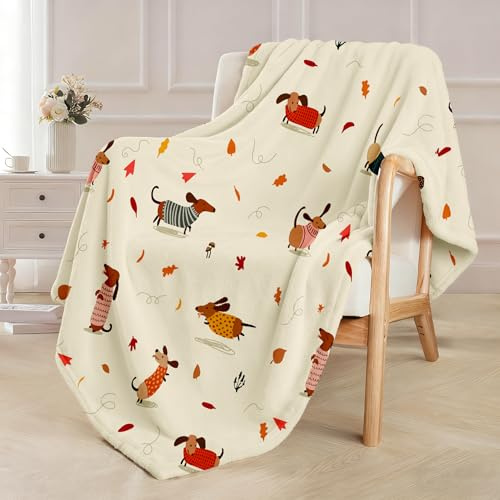 Chickwin Coperta Plaid Pile Singolo, Coperta Pile 150x200 cm Calda Invernale per Divano e Piccolo Letto Singolo Pile di Flanella Morbida, Fleece Blanket for Sofa and Couch