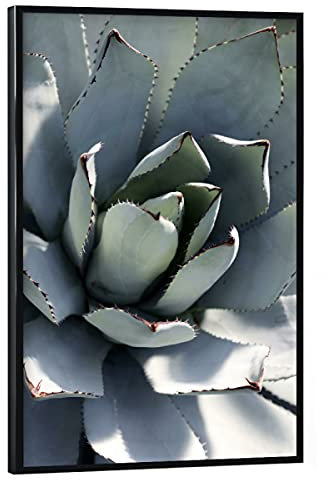 artboxONE Poster mit schwarzem Rahmen 30x20 cm Natur Agave Pastell Grün - Bild Agave Blatt blau