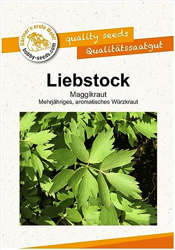Kräutersamen Liebstock - Maggikraut Portion