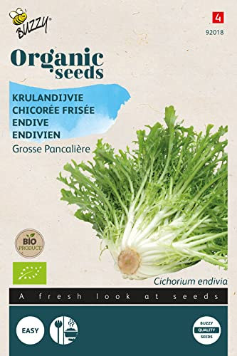 Buzzy Organic Endive Grosse Pancalière(BIO) - Content: Approx. 1 Grams