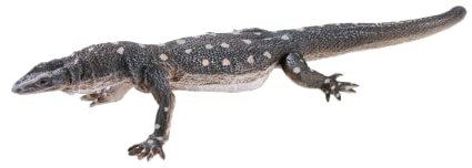 MOJO Perentie Lucertola da Collezione Wildlife Rettile Animal Toy Figure