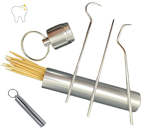 Kit Hygiène Dentaire Cures Dents Crochets Acier Inoxydable Détartreur Élimination de la Plaque et du Tartre Porte Etui Clé Voyage Multifonction