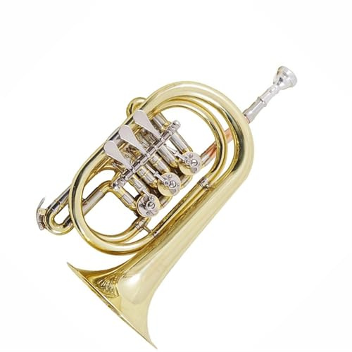 Anfänger Trompeten Musikinstrument Trompete Flachton Kornett Bb Flachstimmung Messing Gold Dreiknopf Drehventil Edelstahl