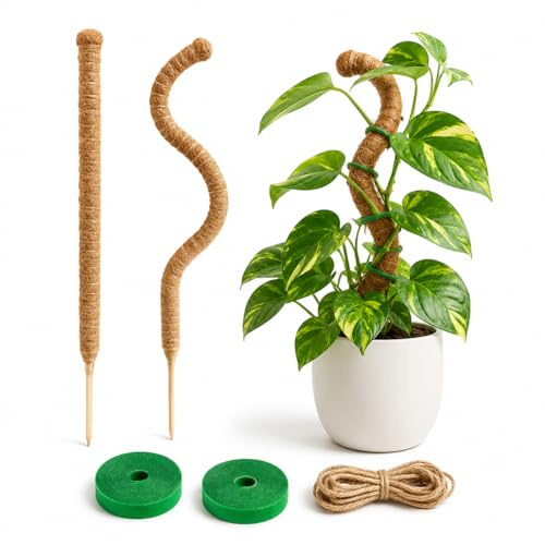 Monstera Rankhilfe 2 Stück 60 cm, Moosstab für Monstera 7 mm Aluminiumkern | Kokosstab mit 2 Rollen Klettband & 2 m Juteseil für Kletterpflanzen