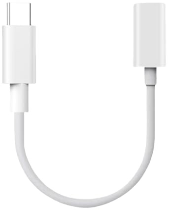 Apple Pencil Ladegerät, USB-C Adapter - 20 Minuten Vollaufladung Für 1. Generation, Kompatibel Mit Apple Pencil (30CM/1 Stück)