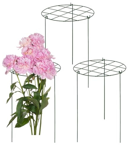 Plant Trellis Outdoor Flower Vine Support Arbors Cages