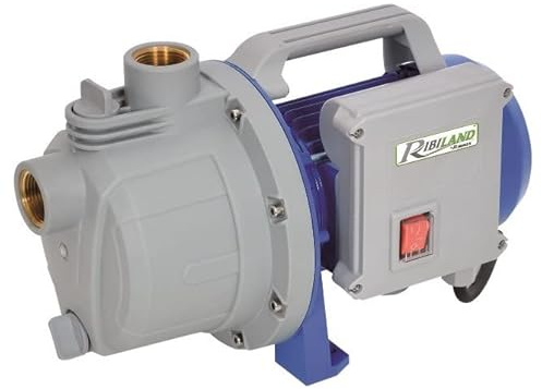 Ribiland - Pompe à eau de surface auto-amorçante 400W
