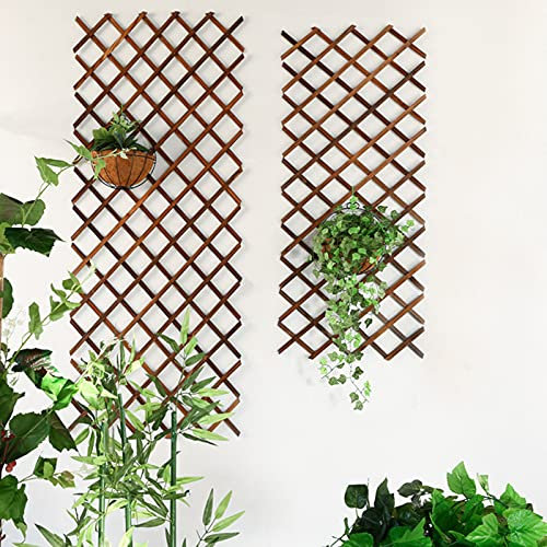 Valla de enrejado de madera para plantas trepadoras al aire libre, panel plegable para decoración del hogar, jardín, enrejado decorativo para colgar en la pared para plantas en crecimiento