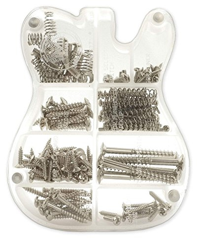 MAKA Gitarren-Schrauben-Set Sortiment mit individueller Acryl-Aufbewahrungsbox für E-Gitarre, Brücke, Tonabnehmer, Schlagbrett, Stimmgerät, Schalter, Halsplatte, mit Federn, Chrom