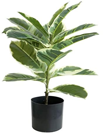 HYKJCSS Künstlicher Baum Nordic Greenery Plant Artificial Tree Plant Rubber Tree Indoor Bonsai Fake Trees Green Plant Home Office Dekoration Fake Pflanzen Kunstbaum(56cm)