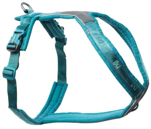 Non-stop dogwear Line Harness 5.0 |214| Fhr und Alltagsgeschirr, Farbe:Teal, Gre:2