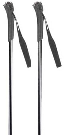 Rossignol - Batons De Ski De Fond Ft-501 Gris Enfants - Taille 125 - Gris