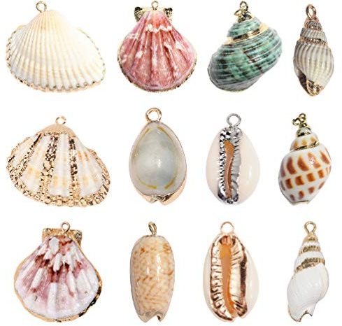 Happyyami Accesorios De Joyería Conchas Naturales 12 Piezas Para Collares Colgantes Pulseras Y Pendientes Material Ligero Para Manualidades Diy