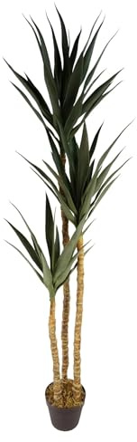 Leaf Design UK Artificial Yukka Tropical House Plant